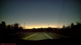 Sudden Collision Sends Deer Flying
