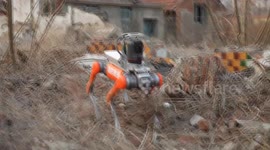 China: Robotic dogs join firefighting team in east China's Qingdao