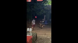Pet dog joins couple playing keepy-uppy with balloon