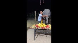Baby elephant blows out her first birthday candle