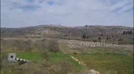 Israeli settlers are letting their cattle graze on Palestinian farmland near the village of Sinjil