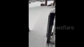 US: Thick layer of snow covers West Flagstaff, AZ