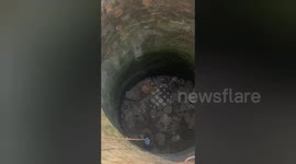 Stray dog stuck at the bottom of well is helped out by locals in India