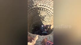 Brave locals climb into well to rescue stranded cow in India