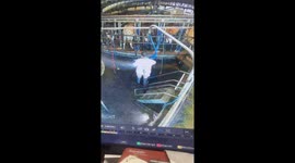 A Messy Dairy Farm Disaster