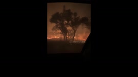In the heart of the crabappple fire in Fredericksburg Texas