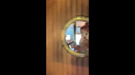 Hidden shower in a palm tree? This themed hotel room has a wild surprise