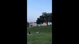 Neon Blue Dinosaur Dances In Park