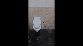 Bathroom Buddies