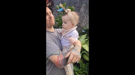 Butterfly Finds Prettiest Flower