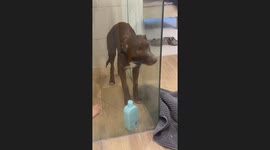 Funny Protest From the Shower