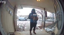 Dog Breaks Window Screen When Delivery Man Arrives