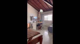 Woman Takes a Hard Fall Cleaning Light Fixture