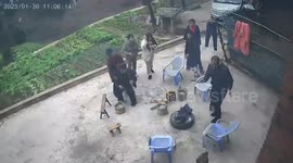 Chinese dog falls into cesspit and runs home to horrified owners