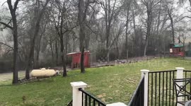 US: Rain, Hail, and Snow Return to Northern California