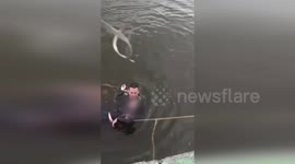 Colombia: National Police Heroes Save Woman from Bogotá Wetland