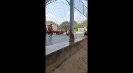 Pet dog tangled in school sports court net rescued by teacher