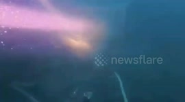 Divers probe wreckage of sunken boat as British tourist, 26, remains missing