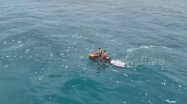 Chinese tourist, 69, missing after being swept away by wave in Indonesia