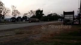 Herd of 20 wild gaurs crossing highway frightens villagers