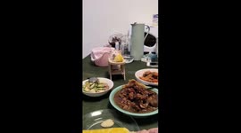 Hamster joins family for dinner with its own miniature table and chair