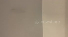 Passengers applaud as 'drunk' woman removed from London flight to Egypt by police