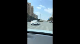 Escaped ostrich seen running between cars along road in China