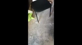 Man's hilarious reaction after being 'surprised' by unexpected hooter sound
