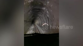 Real-life Hedwig leads train through cave in Harry Potter-like scene