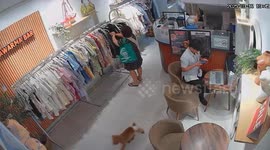 Plucky pet dog yaps at 'thief' to stop him from stealing clothes
