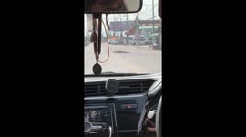 Monitor lizard holds up traffic while crossing busy road