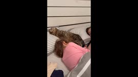 Cat Cuddles In Children's Bed