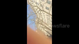 UK: Woman Dies After Van Crashes Into Crowd Outside King’s College London