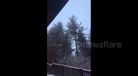 US: Big Snowflakes Fall in North Bend, Washington