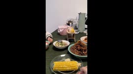 Chinese hamster enjoys dinner at tiny table