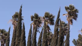 US, Los Angeles: Burbank Wind