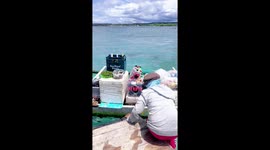 Loyal pet dog swims alongside owner as she sells food from a boat