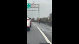 Escaped ponies cause chaos running along road in Taiwan