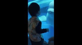 Beluga scares child at aquarium in China