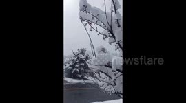 US: Heavy snowfall hits Bountiful