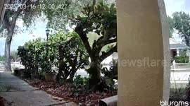 Moment Amazon delivery driver steals package he delivered