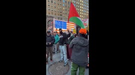 Palestine supporters protest in New York against Israeli attacks