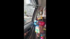 Taxi has entire grocery shop hanging from behind seats