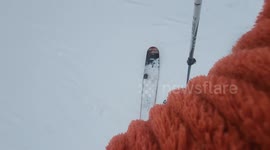 Skiing an Alpine Trail With My Shiba Inu Dog Maru