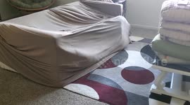 Well, I Guess I Live Here now...