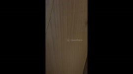 Owner Discovers Puppy Has Destroyed Door