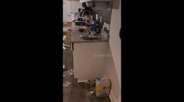 Mischievous raccoons make a kitchen disaster while trying to hide from dad