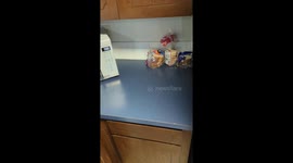 When your wife opens food packages like a grizzly bear