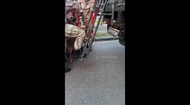 Lance Paw-poral! Stray dog joins soldiers as they climb into army truck
