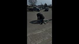 Man get arrested by undercover cops near Staples store in Toronto, Etobicoke